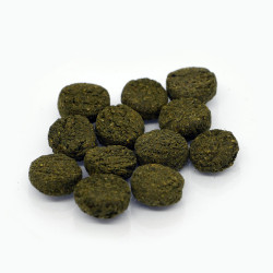 River Aqua Food Algae Tabs
